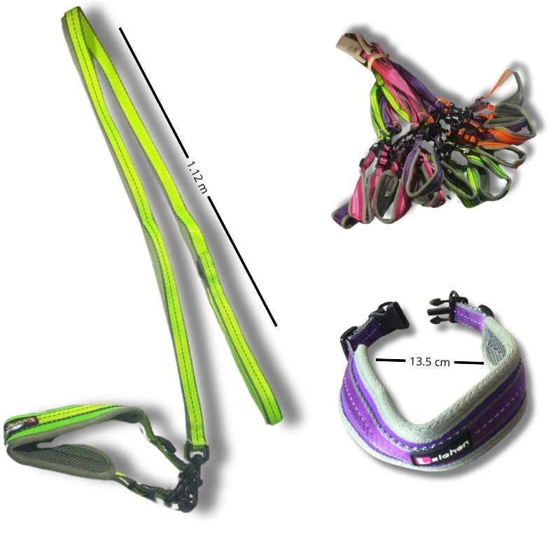 conjunto de correa y collar