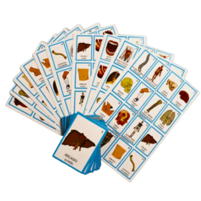 Lotería Cuerpo Humano 10 tablas